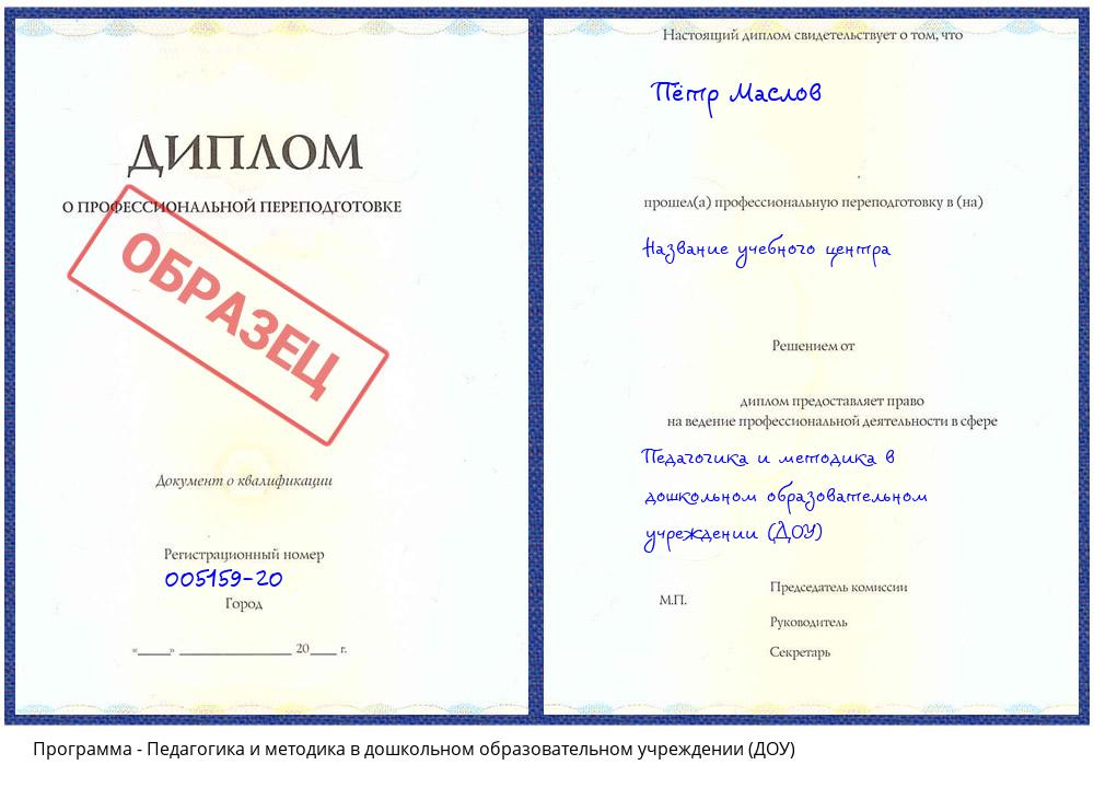 Педагогика и методика в дошкольном образовательном учреждении (ДОУ) Вязьма