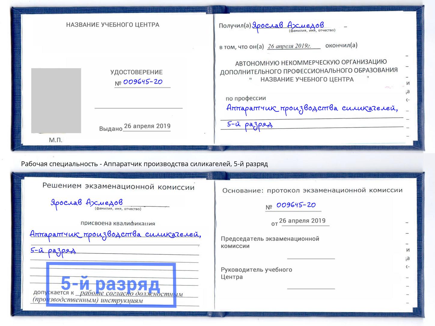 корочка 5-й разряд Аппаратчик производства силикагелей Вязьма