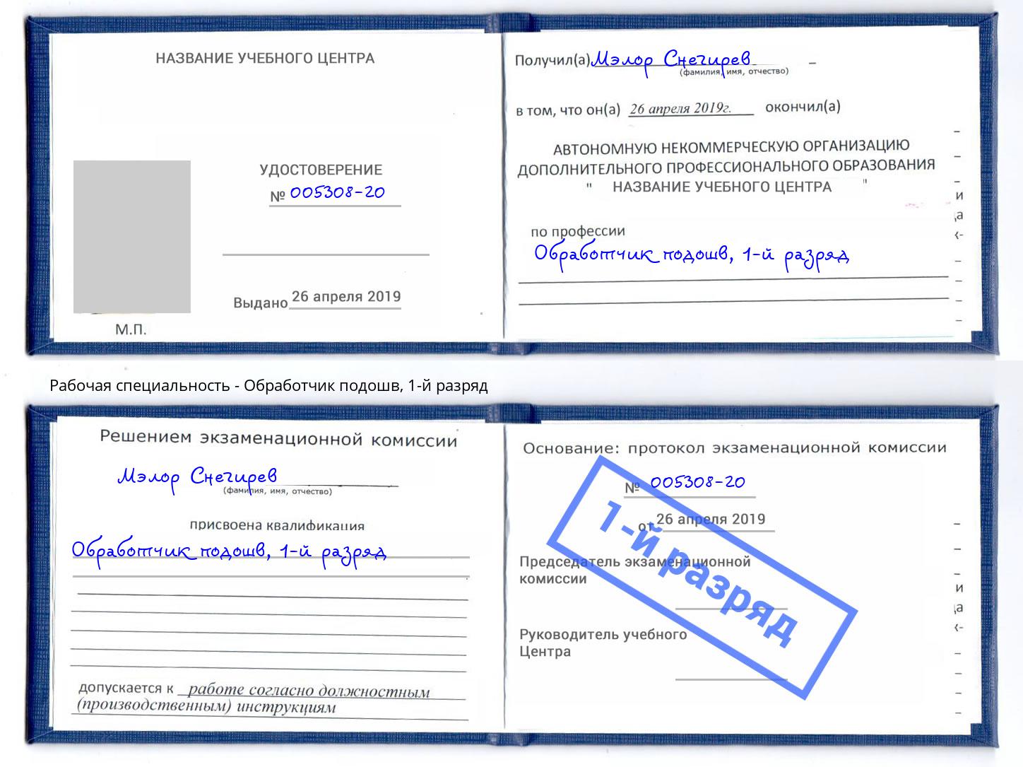 корочка 1-й разряд Обработчик подошв Вязьма