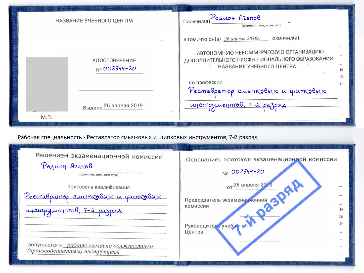 корочка 7-й разряд Реставратор смычковых и щипковых инструментов Вязьма