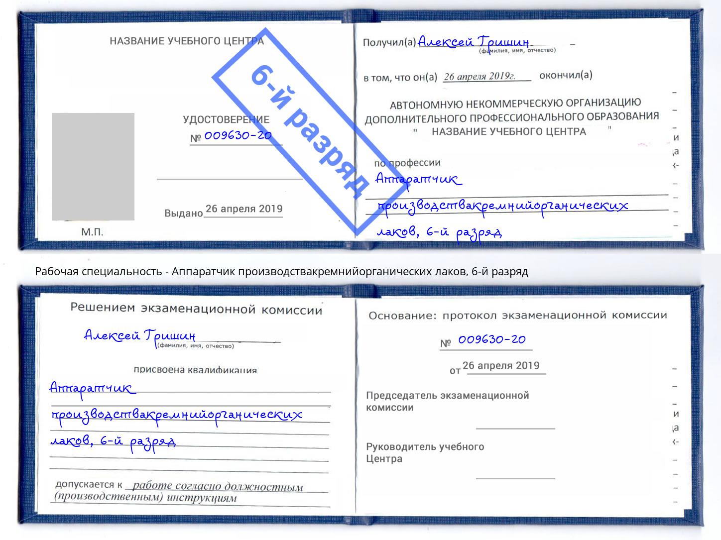 корочка 6-й разряд Аппаратчик производствакремнийорганических лаков Вязьма